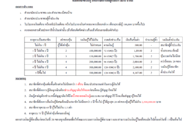 หลักเกณฑ์การกู้เงิน