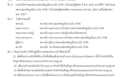 ข้อกำหนดเงินกู้พิเศษ พ.ศ. 2566 (แก้ไขเพิ่มเติม) พ.ศ. 2567